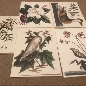 The Colonial Williamsburg Foundation Blank Note Cards